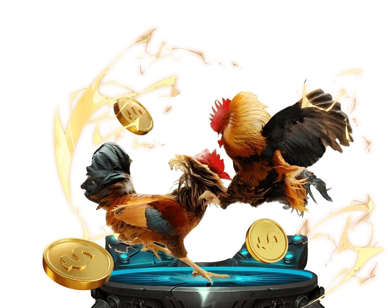 Các loại kèo cược đá gà phổ biến tại zx88 link vào